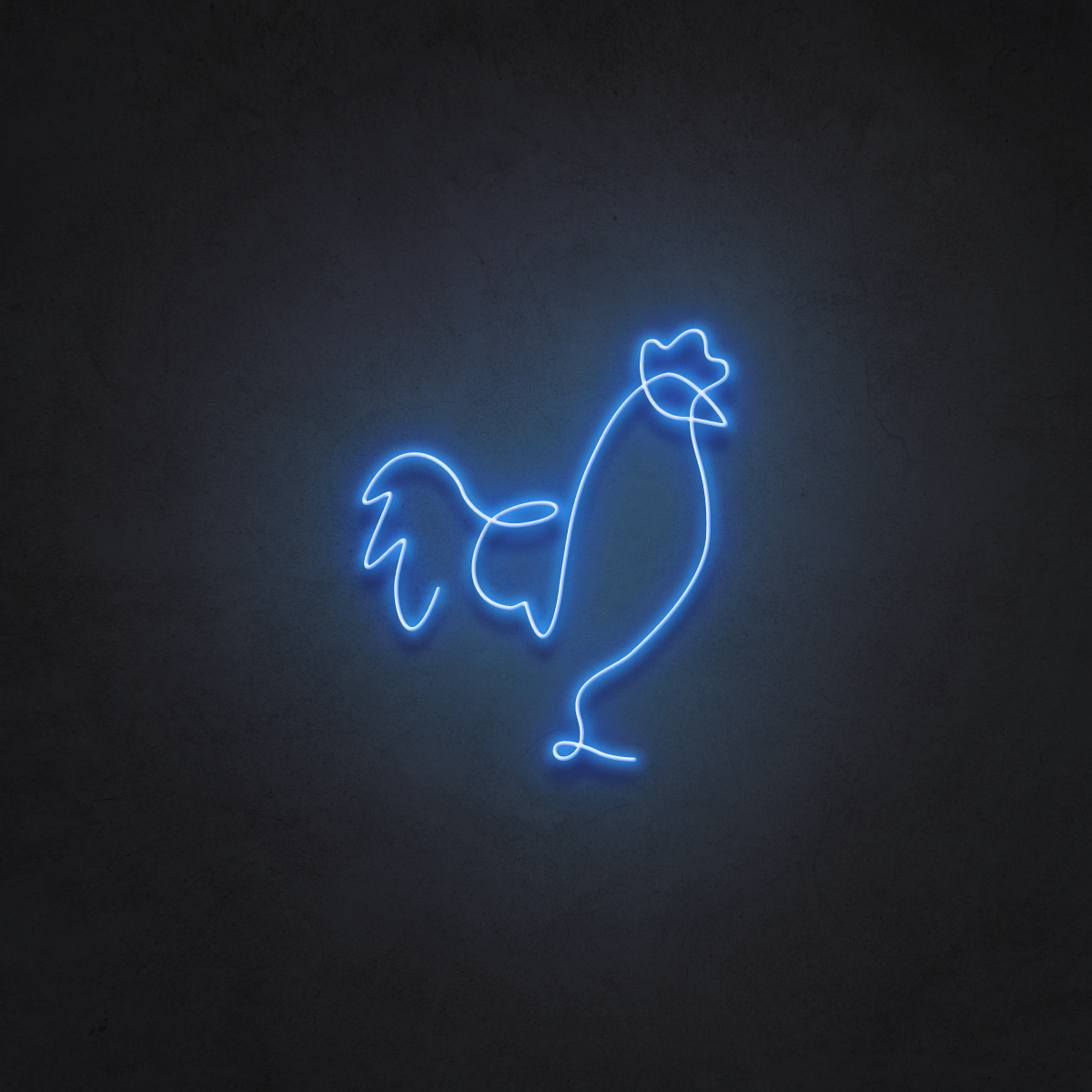 Little Rooster